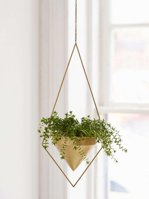 Hanging Planter